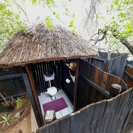 Off Beat Safaris Bush Lodge Hoedspruit Exterior foto