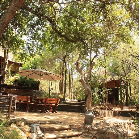 Off Beat Safaris Bush Lodge Hoedspruit Exterior foto