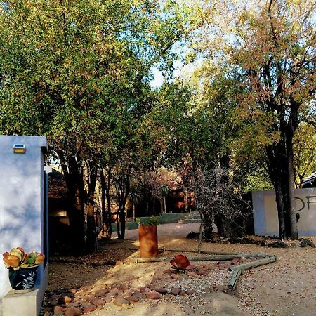 Off Beat Safaris Bush Lodge Hoedspruit Exterior foto