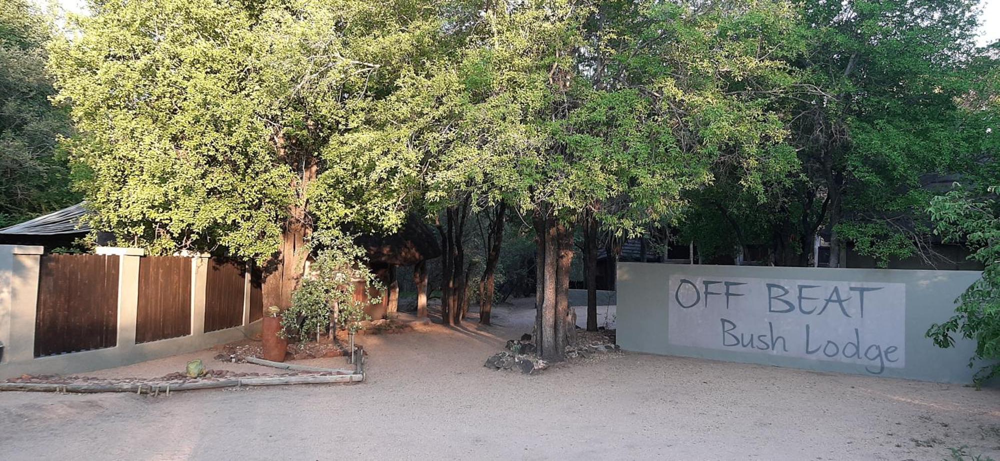 Off Beat Safaris Bush Lodge Hoedspruit Exterior foto