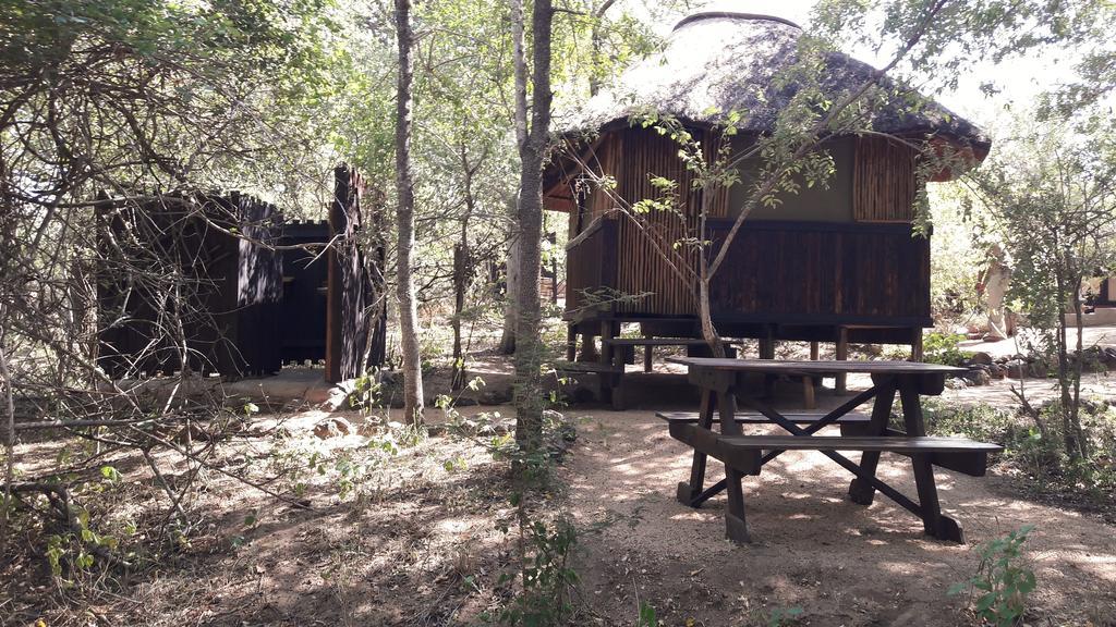 Off Beat Safaris Bush Lodge Hoedspruit Exterior foto