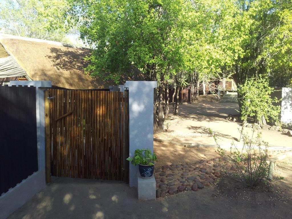 Off Beat Safaris Bush Lodge Hoedspruit Exterior foto