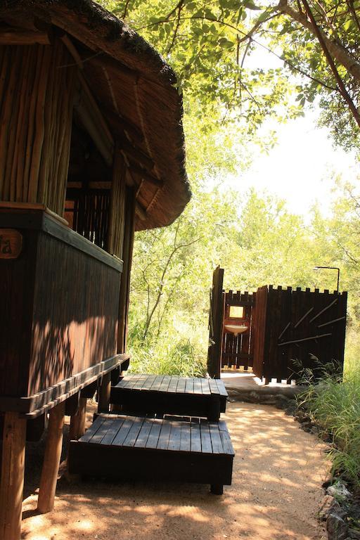 Off Beat Safaris Bush Lodge Hoedspruit Quarto foto