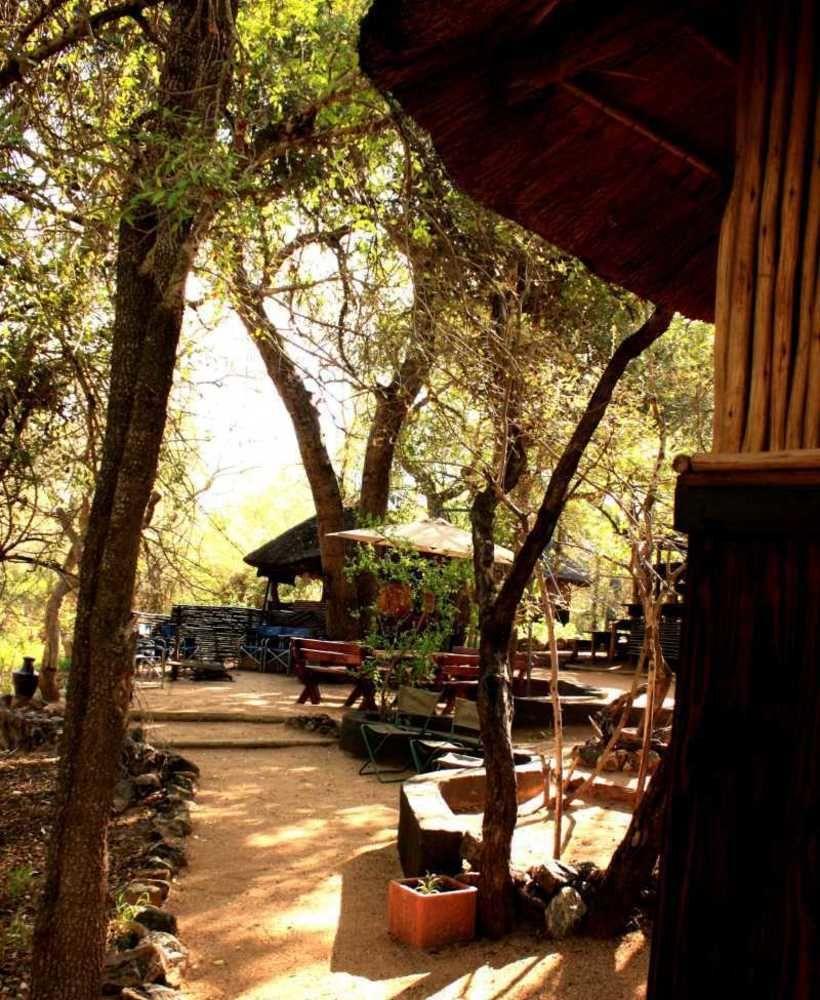 Off Beat Safaris Bush Lodge Hoedspruit Exterior foto