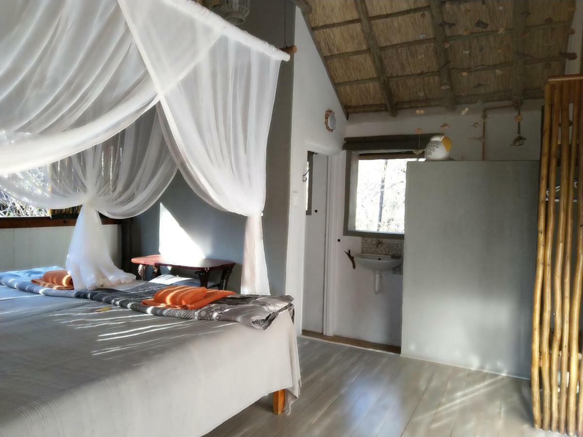 Off Beat Safaris Bush Lodge Hoedspruit Exterior foto