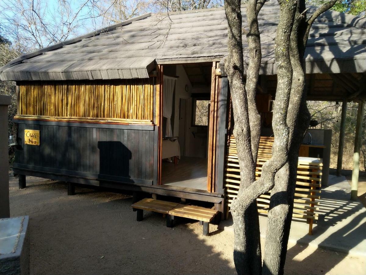 Off Beat Safaris Bush Lodge Hoedspruit Exterior foto