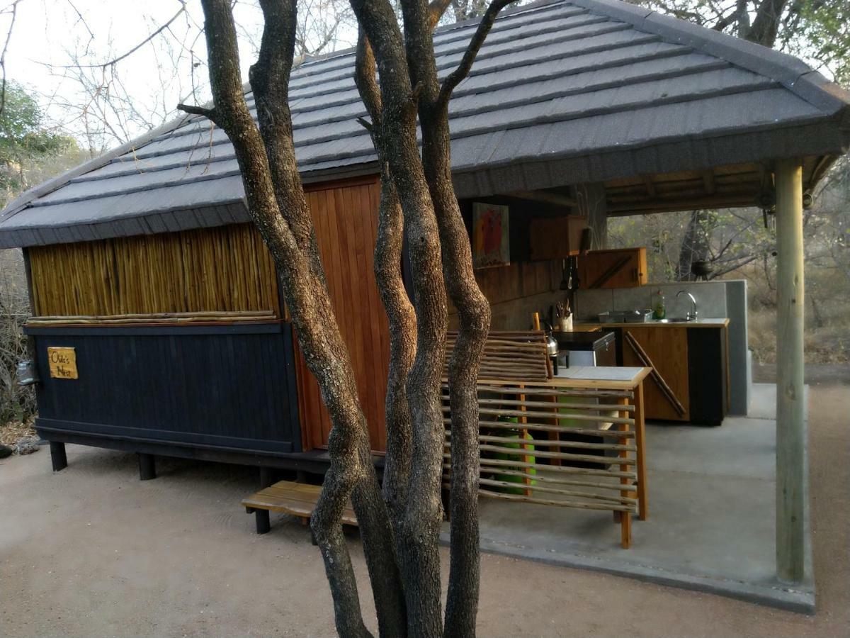 Off Beat Safaris Bush Lodge Hoedspruit Exterior foto