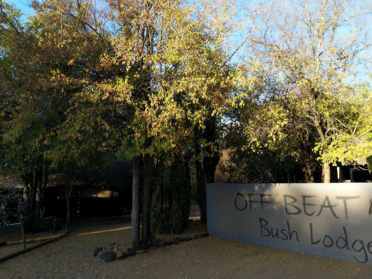 Off Beat Safaris Bush Lodge Hoedspruit Exterior foto
