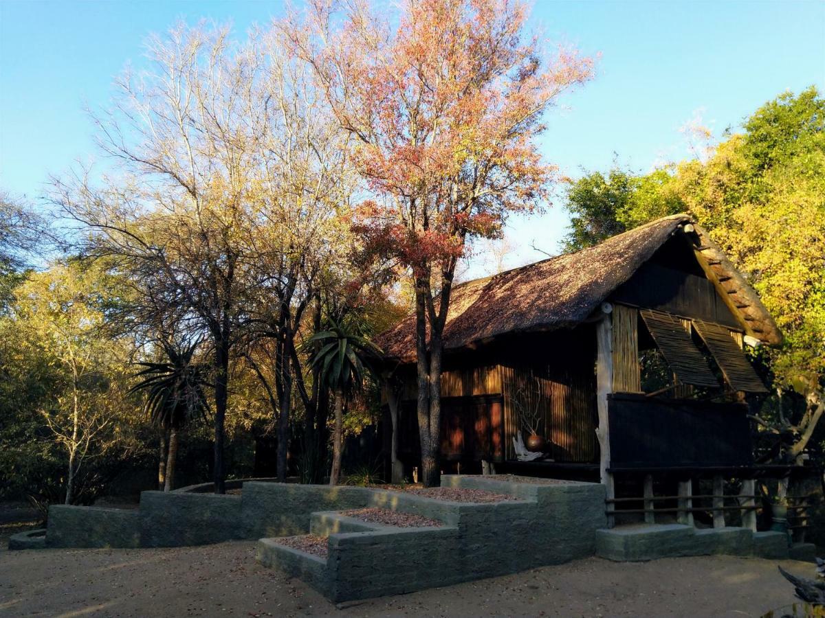 Off Beat Safaris Bush Lodge Hoedspruit Exterior foto