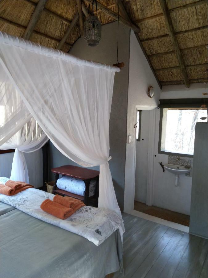 Off Beat Safaris Bush Lodge Hoedspruit Exterior foto